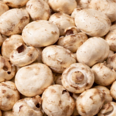 산지직송 부여 양송이버섯, 1박스, 못난이 양송이버섯 1kg