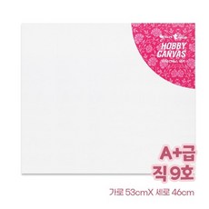 A+ 하비 캔버스 직사각 9호 (53*46)