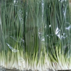 [농수산 장터]깐쪽파 1kg 750g 500g 300g, 1개