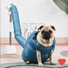 반려동물미용 애견 목욕 드라이 룸 강아지 고양이 기 건조