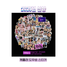슈어마켓 Kep1er 케플러 2025신상 앨범 굿즈 도무송 스티커