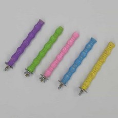 위아리턴 앵무새 횟대 중