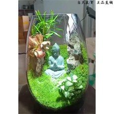 테라리움키트 DIY 이끼액자 이끼키우기 만들기, M. 나무등잔 모형