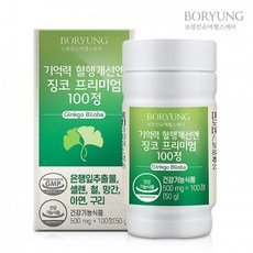 보령 기억력 혈행개선엔 징코 프리미엄100 500mg x 100정 (Araium), 1개, 1정