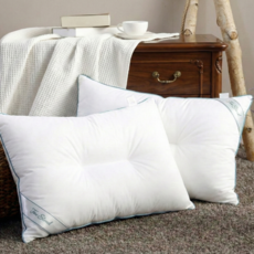 텍스스테드 1+1 블루라인 호텔용 C자형 항균 경추베개솜 지퍼형, 2개, 화이트