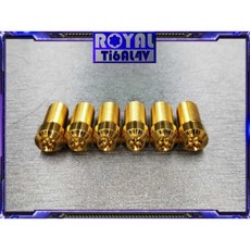 ROYAL 鈦合金螺絲 M10*20B P1.25 小頭後照鏡/後視鏡 內星型螺絲, 帝王黑,M10X20正正牙, 1個