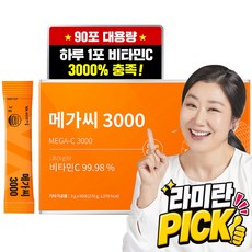 비타민마을 메가씨 3000 비타민C 분말 스틱, 270g, 1개