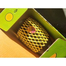 망고수박 3KG내외, 2개, 망고수박 2.5-3KG내외