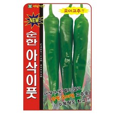 순한 아삭이 풋고추 씨앗 고추씨 종자, 3개