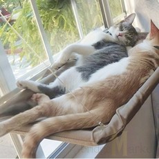 브릿지마켓 고양이 창문 거치대 애묘용품, 아이보리, 1개