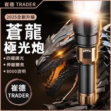 TRADER 崔德 手電筒 SF-1097, 1個, 1電 黑 崔德 蒼龍-SF-1097, 黑