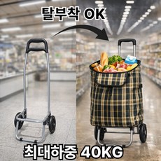 리아노 2in1 몽땅담아 장바구니 캐리어 대용량 튼튼한 접이식 쇼핑카트, 포레스트그린, 1개