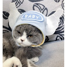 BROWMODA 애완동물 귀여운 방한 털 모자, 천사