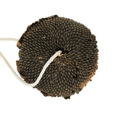 모로 햄스터간식 자연주의꾸미기 해바라기헤드, 1개