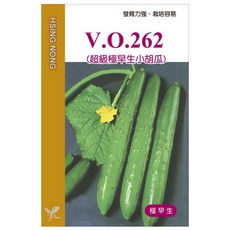 興農種苗 V.O.262 超級極早生小胡瓜種子，迷你盆栽，四季皆宜，快速收成，家庭園藝首選, 1個