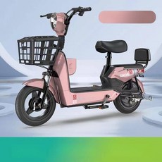 샤인픽스토어 2인용전기자전거 자토바이 전동자전거, 48V 50Ah 리튬 255마일, 골드