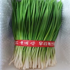 알싸하고 달큼한 맛 산지직송 국내산 실파 잔파 햇쪽파 손질 깐쪽파, 1박스, 1kg