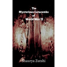 (英文圖書)The Mysterious Catacomb of World War II 平裝版, Notion Press, 英文