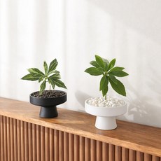 하이오브제 홍콩야자 파키라 조화 화분 세트, 1개, 미니 금목서 (그린) 매트팟 (화이트)