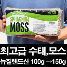 농대나온남자 고급 수태 모스 뉴질랜드산 AA 토피어리 비바리움 파충류 호접란, 1개