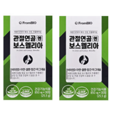 프롬바이오 관절연골 엔 보스웰리아 25.5g, 30정, 2개