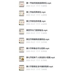 林凌風家居風水招財秘術8集視頻