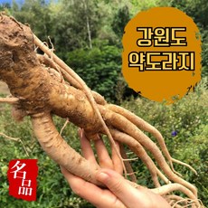 [강원도] 국산 신선한 약도라지 도라지정과 반찬용도라지, 1박스, 말린 약도라지(300g)