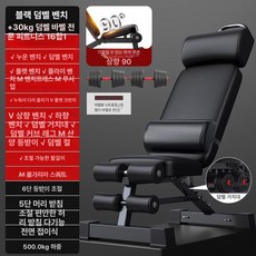 ZIPIA 싯업 벤치 복근 홈트 운동 보드 윗몸, P. 프리미엄+30kg덤벨틸트/90도