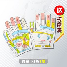 穴位手套 手部按摩工具 人體穴位模型 教學工具 男女通用 雙面印 一雙 贈按摩筆, 1個, 手套 雙面印 一雙 贈按摩筆