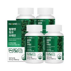 내츄럴플러스 혈행앤 징코 브레인 / 기억력 혈행개선 은행잎추출물, 90정, 4박스