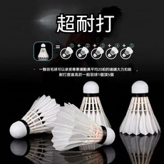 達人推薦 6衹/12衹防風羽毛球耐打一套打不爛單打羽毛球套裝批髮鵝毛耐打王, 12只裝【二代升級款耐打王】白羽, 1個