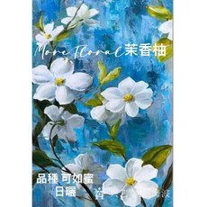 衣索比亞 烏拉嘎 茉香柚 G1日曬 杯測高分咖啡豆, 1個, 1kg, 1kg