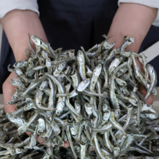 [100% 국내산] 청정해역에서 잡은 안주/조림/볶음용 해날 최상급 햇 고바 중멸치 1.5kg, 1개