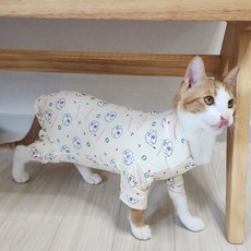 블랙초코 고양이 중성화옷 수술복 환묘복 올인원 실내복 보호복 털빠짐방지, 1개, 머스타드 옐로우