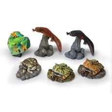 萬代 生物大圖鑑 迷你集合 兩棲類P2 - 青蛙 赤目雨蛙 蘇利南角蛙 饅頭蛙 紅腹蠑螈, 1個, 扭蛋全6款(含隱藏版)