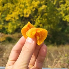 [프리미엄등급] 바람으로 말린 은은한 단맛 감말랭이, 3개, 300g