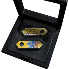 【台南新發車業】SHIN FA 鈦合金車牌保護蓋 大牌螺絲 車牌飾片 鈦片 鈦螺絲 防裂 車牌飾蓋, 鈦色, 1個