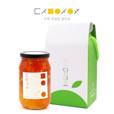 담아요 수제청 과일청 1구 선물세트, 1세트, [1구]오렌지자몽청540g