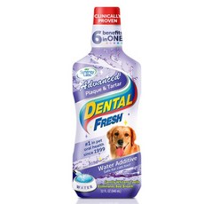 [시너지랩] 도그(Dog) 덴탈후레쉬 프라그&치석 503mll