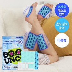 부엉이 다리 쿨링시트 종아리 발바닥 쿨패치 (2매입/12매입), 2매입