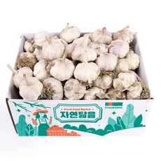 자연닮음 2차 선별된 국산 햇 정품 저장 통마늘, 2. 저장마늘 대 3kg, 1개