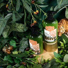 쉐어버터 온가족함께 올리브오일 발로션 380ml 2개ssn11230599ii+wwda