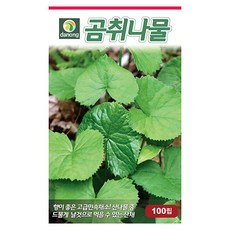 갑조네 민속특수 씨앗 모음, 곰취(씨앗), 1개