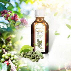 德國葦柏納webner 綠咖啡緊俏撫紋精華油 綠咖啡代謝精華油(50ml/瓶)﹝小資屋﹞, 1個, 50ml