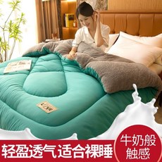 被子 保暖被子 加厚被子 被芯 保暖被芯加厚12斤絨被子冬被雙麵單絨棉被保暖冬季褥子毛絨被芯牛奶絨被子, 橄欖綠-白【3秒速熱】保暖冬被,220x240【雙人加厚】10斤冬被