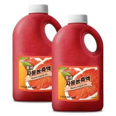 흥국에프앤비 자몽 농축액, 2개, 1.8kg