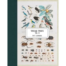 (영문도서) Vintage Prints: Vol. 6 Paperback, Createspace Independent Pub..., English, 9781720747901