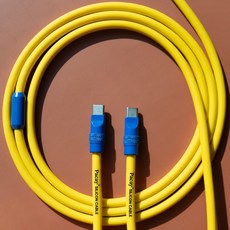파카이 2미터 240W 초고속 충전 실리콘 케이블 C to C, 1개, 옐로우&블루, 2m