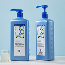 [안달로우] 아르간 스템셀 대용량 샴푸 946ml 2개 + 펌프 2개 + 수분 샴푸 50ml 여행용 키트 증정