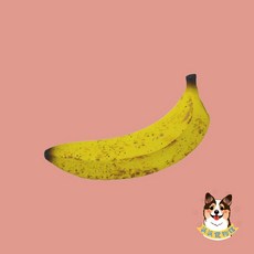 派派寵物館 環保乳膠發聲玩具 狗狗耐咬互動玩具 可愛仿真造型, 1個, 黃香蕉, 黃香蕉